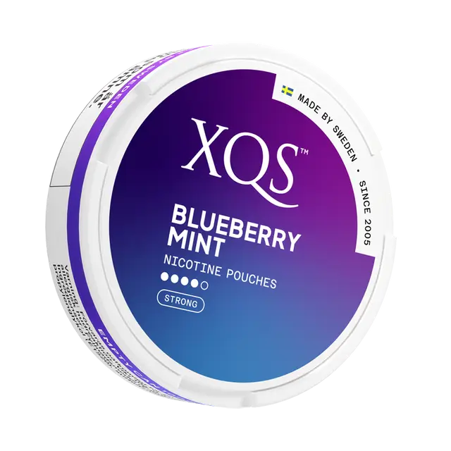 XQS Blueberry Mint Strong