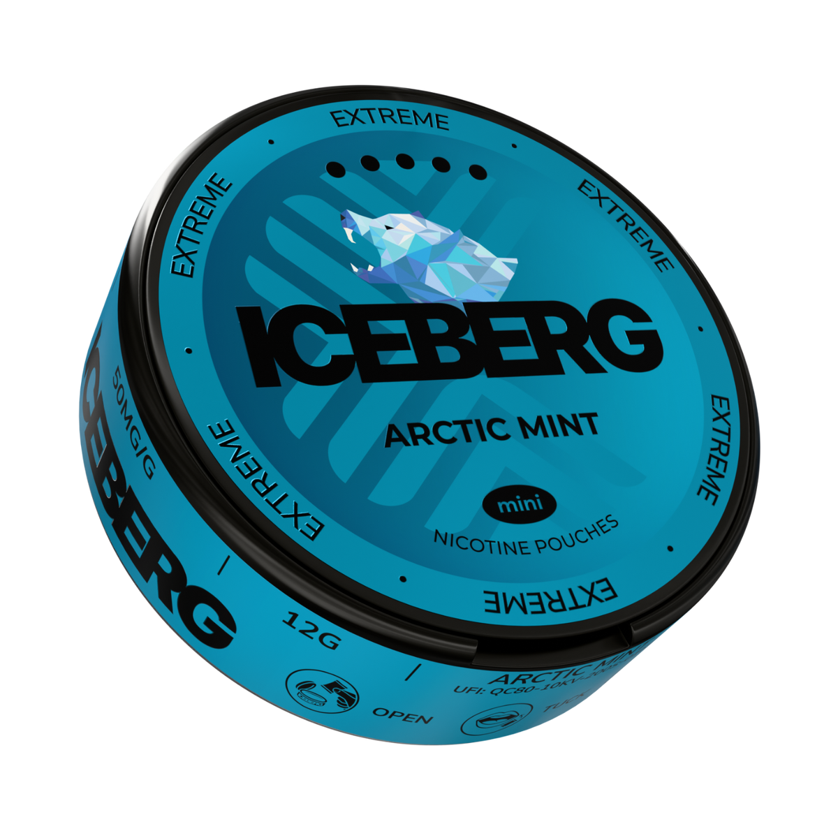 Iceberg Arctic Mint Mini